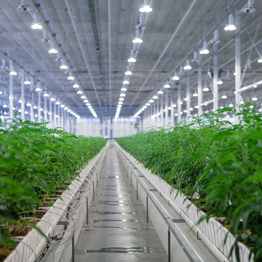 Aurora-Sky-Facility-Interior-Case-Study-General Purpose Aurora-Sky-Facility-Interior-Case-Study-General Purpose