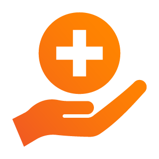 Healthcare Icon